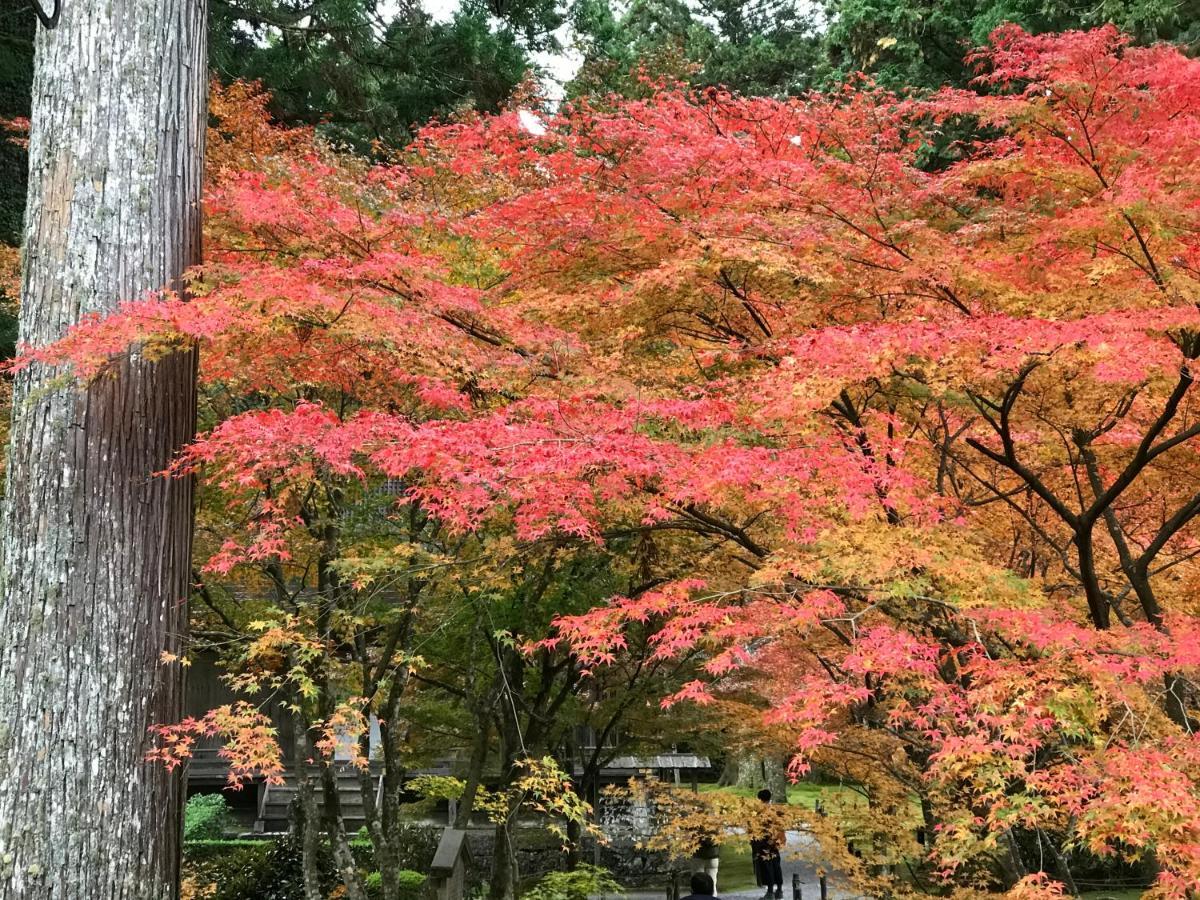 Ohara Sensui Surrounded by Beautiful Nature Villa Kyoto Exterior foto